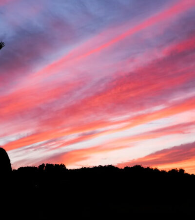 Frases motivadoras cortas para el éxito