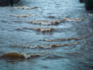 Lluvia